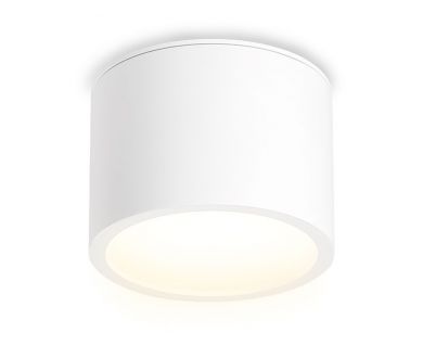 Купить Накладной светильник Ambrella Light IP Protect TN6550 Накладной светильник Ambrella Light IP Protect TN6550