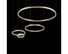Подвесной светильник Loft IT Ring 10017/4M