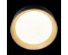 Потолочный светильник Loft IT Coin 10202 Black