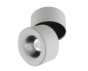 Спот DesignLed LC1288WH-5-NW 002225