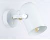 Спот Ambrella Light Traditional TR8202