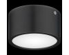 Уличный светодиодный светильник Lightstar Zolla 380173