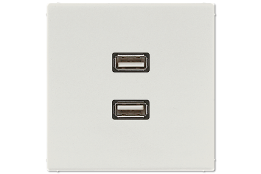 Розетка USB Jung MALS1153LG