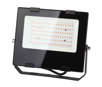 Купить Фитопрожектор для растений ЭРА FITO-50W-RB-LED Б0046368 Фитопрожектор для растений ЭРА FITO-50W-RB-LED Б0046368