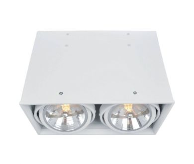 Купить Потолочный светильник Arte Lamp Cardani A5936PL-2WH Потолочный светильник Arte Lamp Cardani A5936PL-2WH