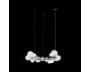 Подвесная люстра Loft IT Molecule 10023/850