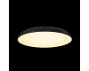Потолочный светильник Loft IT Dime 10371 Black