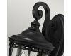 Уличный настенный светильник Feiss English bridle FE-EB2-M-BLK