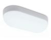 Уличный потолочный светильник Ambrella Light Street ST8666