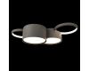 Потолочная люстра Loft IT Pin 10317/4 Grey