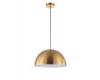 Подвесной светильник Freya Eleon FR5218PL-01BS