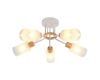 Потолочная люстра MyFar Linda MR1860-5C