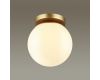 Потолочный светильник Odeon Light 4247/1C