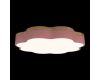 Потолочный светильник Loft IT Axel 10225/36 Pink