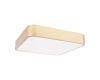 Потолочный светильник Loft IT Flims 10228/C