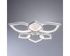 Потолочный светодиодный светильник Arte Lamp Polli A2531PL-6WH