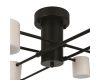 Потолочный светильник Freya Tibo FR6048CL-L8B