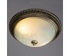 Потолочный светильник Arte Lamp 28 A3009PL-2AB