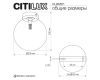 Потолочный светильник Citilux Orton CL202511