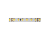 Светодиодная лента DesignLed DSG2120-24-WW-33 005587
