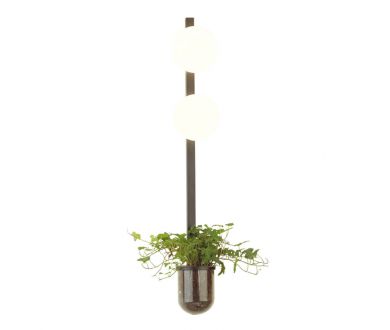 Купить Настенный светильник Odeon Light Flower 4681/2WA Настенный светильник Odeon Light Flower 4681/2WA