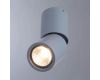 Спот Divinare Gavroche Posto 1800/05 PL-1