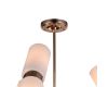 Люстра на штанге F-Promo 2617-12P