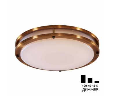 Купить Настенно-потолочный светильник Citilux Бостон CL709503N Настенно-потолочный светильник Citilux Бостон CL709503N