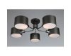 Потолочная люстра Omnilux Lisera OML-54507-05