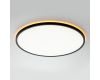 Потолочный светильник Citilux Norma LED RGB CL749501