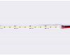 Светодиодная лента Ambrella Light LED Strip 12В 2835 14,4Вт/м 6500K 5м IP20 GS1303