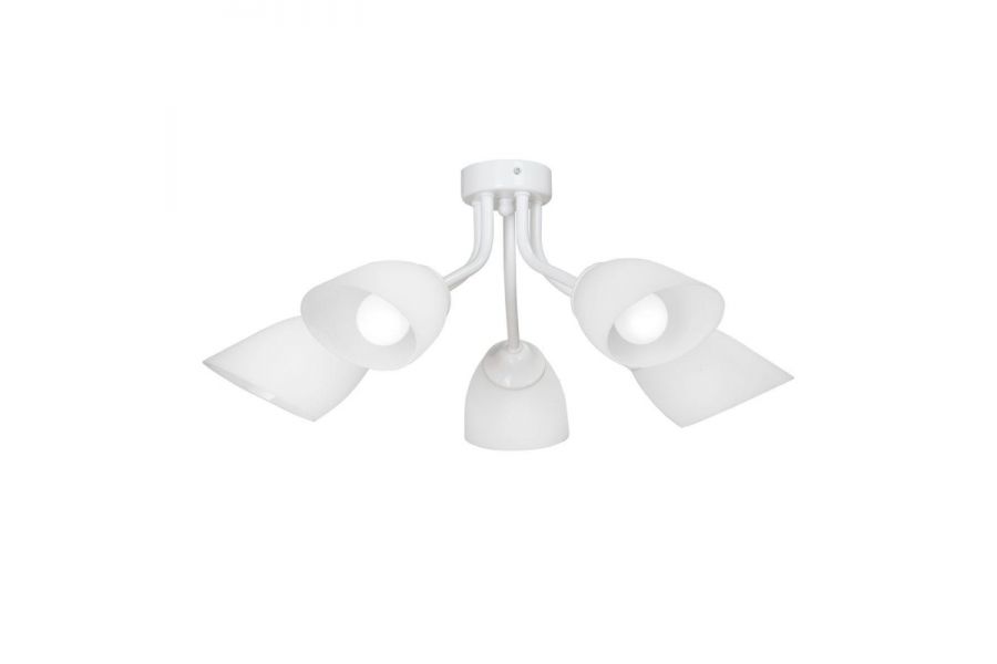 Потолочная люстра Vitaluce V3184/5PL