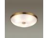 Настенно-потолочный светильник Odeon Light Pelow 4956/5