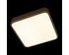 Потолочный светильник Loft IT Flims 10228/C