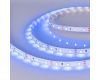Светодиодная лента Arlight RT-A60-8mm 12V Blue (4.8 W/m, IP20, 2835, 5m) (Arlight, 4.8 Вт/м, IP20) 010523(3)