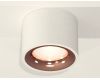 Потолочный светильник Ambrella Light Techno Spot XS7510025 (C7510, N7015)