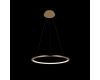 Подвесной светодиодный светильник Loft IT Ring 10014M