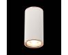 Потолочный светильник ST Luce Chomus ST111.527.01