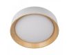 Потолочный светильник Loft IT Coin 10202 White