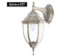 Уличный настенный светильник Arte Lamp Pegasus A3152AL-1WG