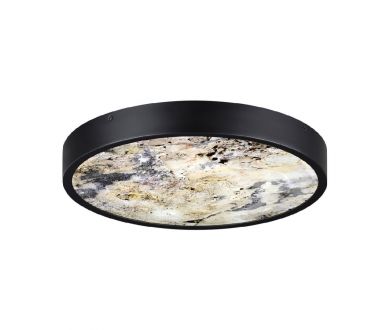 Купить Настенно-потолочный светильник Odeon Light Bergi 5064/24L Настенно-потолочный светильник Odeon Light Bergi 5064/24L