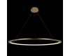 Подвесной светодиодный светильник Loft IT Ring 10014XXL