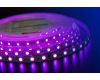 Светодиодная лента DesignLed DSG560-12-RGB-33 000603