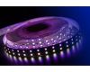 Светодиодная лента DesignLed DSG5120-24-RGB+NW-33 001205