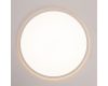 Потолочный светильник Citilux Norma CL748400