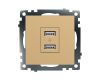 Розетка 2-местная USB Stekker Катрин GLS10-7115-08 49229