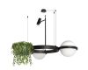 Подвесная люстра Loft IT Jardin 10121/2