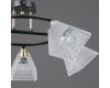 Потолочная люстра Illumico IL0850-5CSQ-25BKAB ELITE
