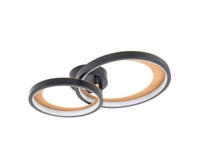Купить Потолочный светильник Escada Callisto 10265/2LED Потолочный светильник Escada Callisto 10265/2LED