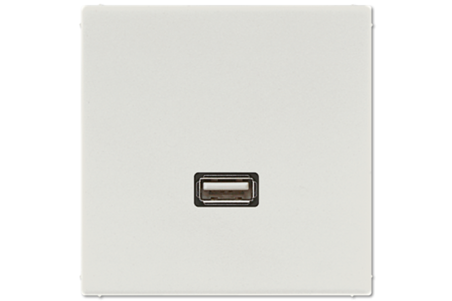 Розетка USB Jung MALS1122LG